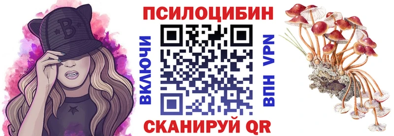 Псилоцибиновые грибы мухоморы  закладки  Адыгейск 