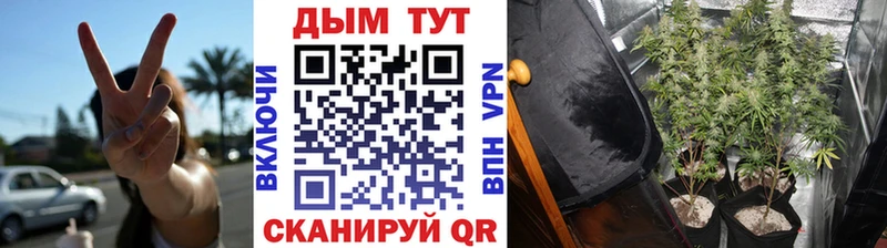 площадка наркотические препараты  цены наркотик  Адыгейск  Бошки Шишки гибрид 